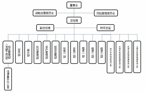 中国中车旗下46家子公司软件开发组织架构概览