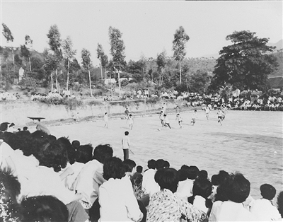 泛黄影像里的时代印记 软件开发视角下的双第农场历史变迁